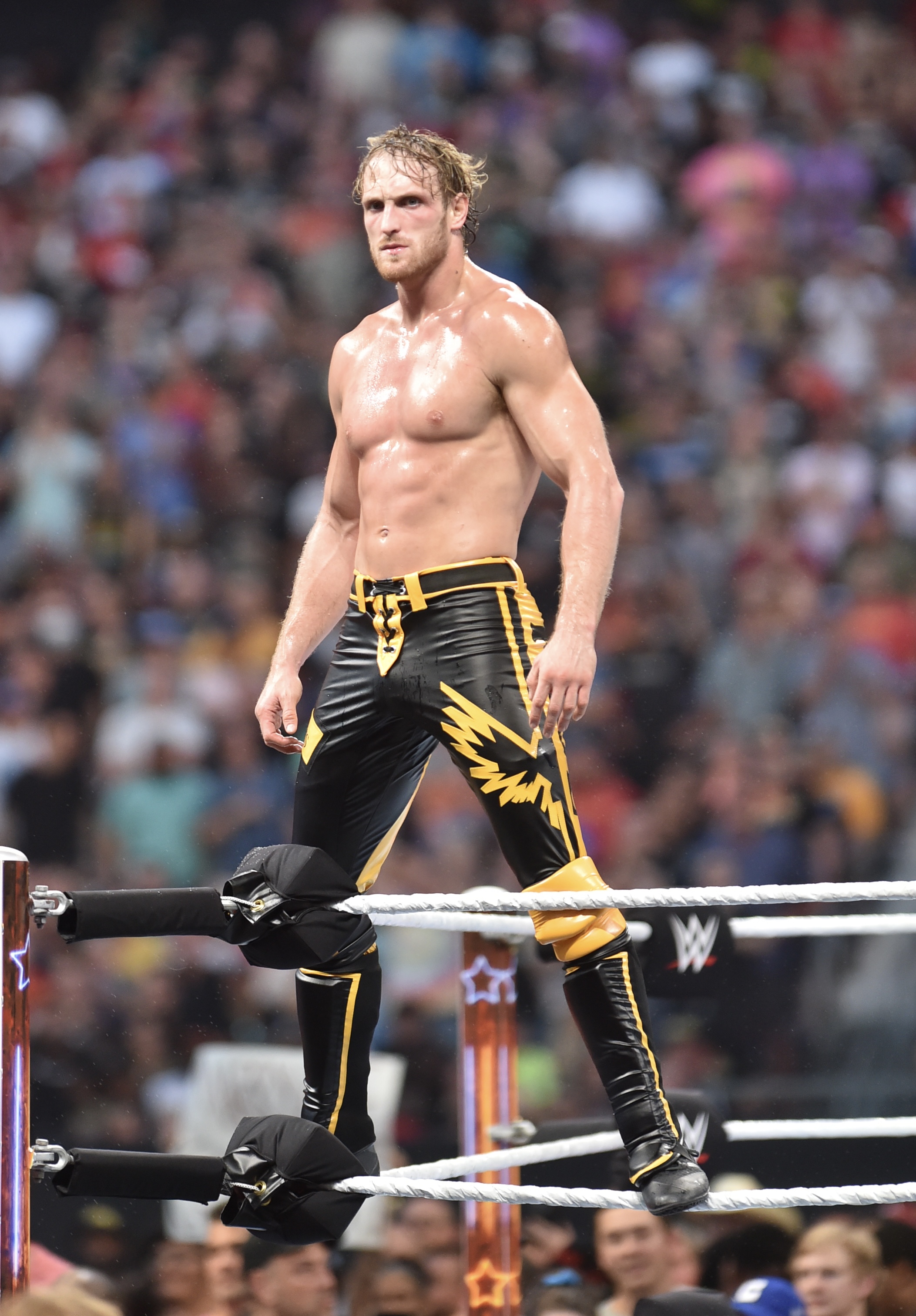 WWE want Logan Paul at the Royal Rumble in some capacity